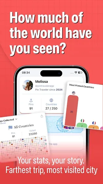 Pin Traveler: Travel Tracker screenshot 2