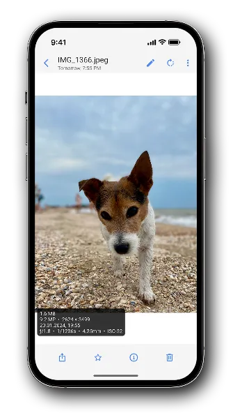 Right Gallery screenshot 7
