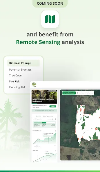 TreeMapper screenshot 7