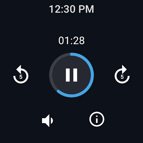 Easy Voice Recorder screenshot 12