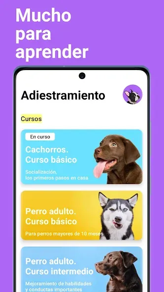 EveryDoggy-entrenamiento perro screenshot 6