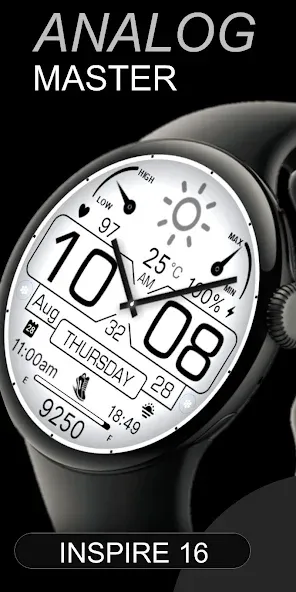 Bright Analog Master IW16 screenshot 2