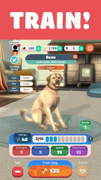 Pocket Paws: My lovely dogs screenshot 6