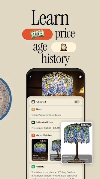 Antique Identifier Zophi screenshot 3