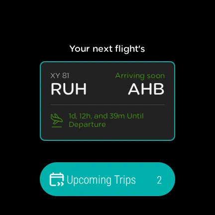 flynas screenshot 20