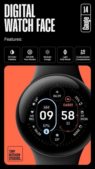 TKS 14 Gauge Watch Face screenshot 2