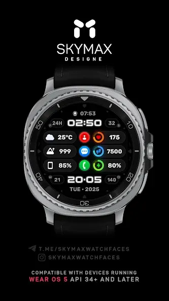 Wyvern Watch Face screenshot 2