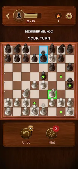 Chess Master: Board Game screenshot 3