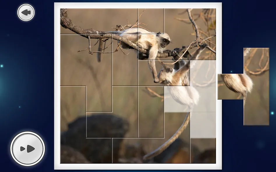 IMAGEine Premium screenshot 12