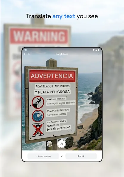 Google Translate screenshot 14