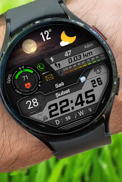 FSW223 Watchface screenshot 4