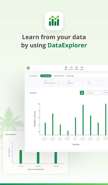 TreeMapper screenshot 6
