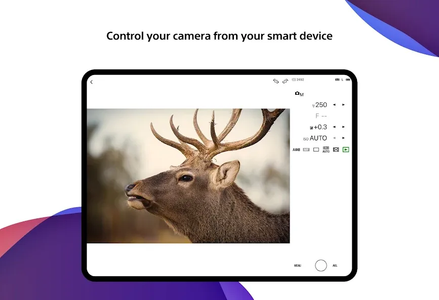 Sony | Creators' App screenshot 15