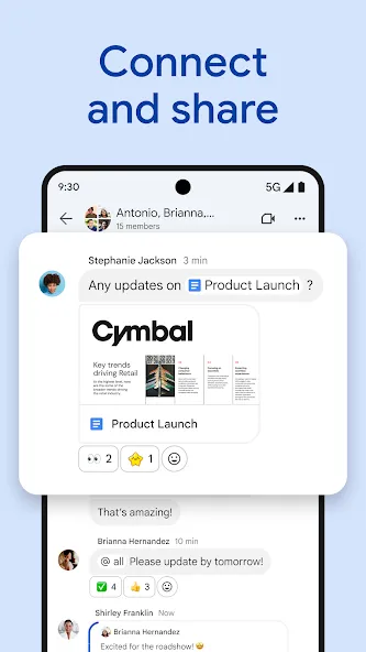Google Chat screenshot 6