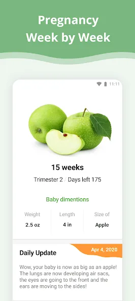 Pregnancy App screenshot 1
