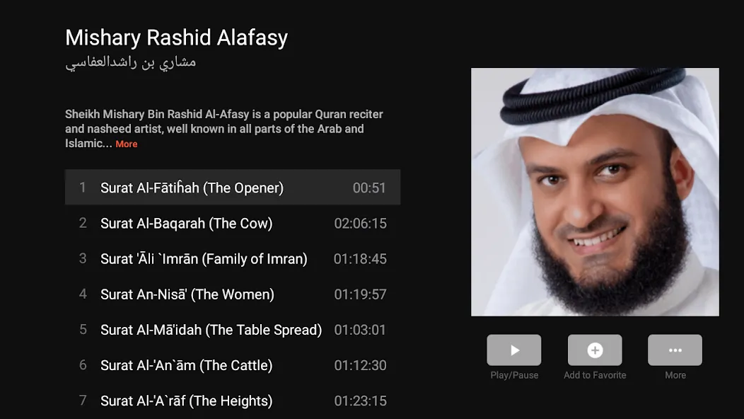 Quran Pro - القران الكريم screenshot 24