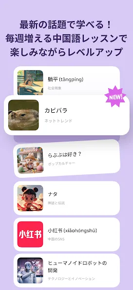 PeakChinese: 楽しく中国語を勉強しよう screenshot 8