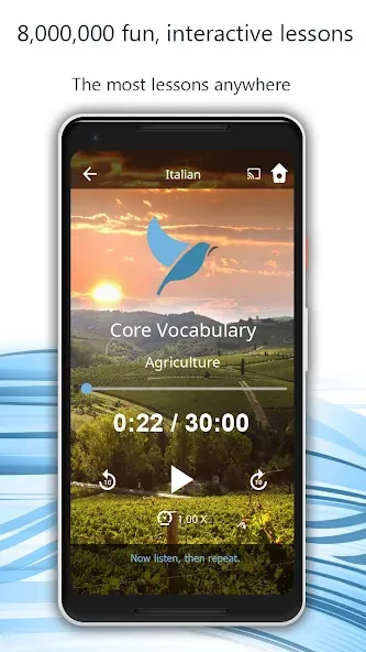 Learn 163 Languages | Bluebird screenshot 2