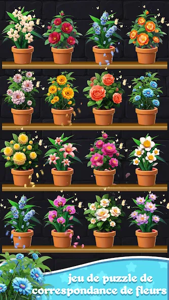 Tri Fleurs 3D : Floraison screenshot 2