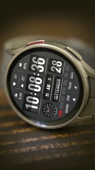 ZKin Watch Page Turning Digit screenshot 17