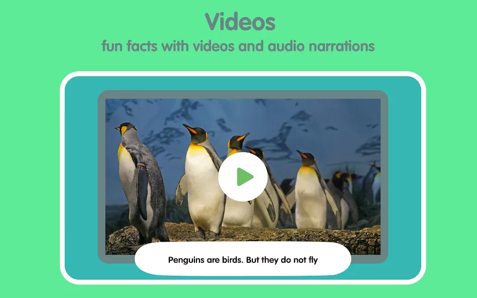 Learn Animals for Kids screenshot 23