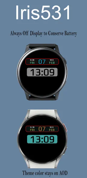 Multi Function Digital Iris531 screenshot 3
