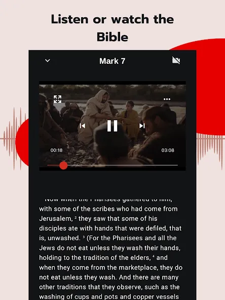 Bible - Audio & Video Bibles screenshot 12