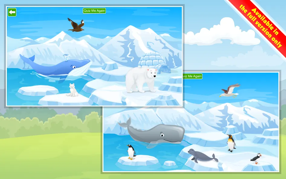 Kids Learn about Animals screenshot 16