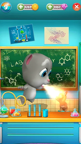 虚拟宠物鲍勃 - 搞笑猫咪 screenshot 13
