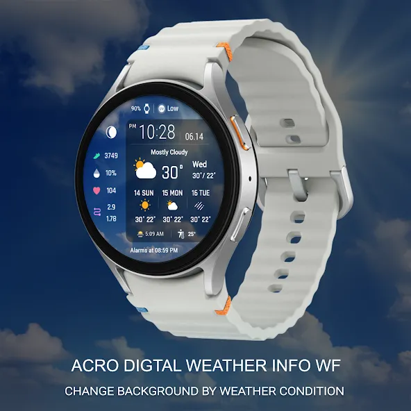 ACRO Digital Weather info WF screenshot 6