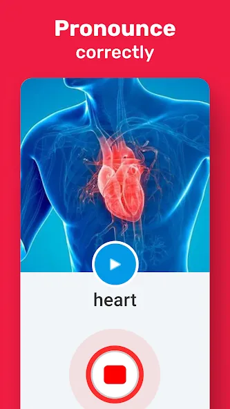 Aprenda Vocabulário Ingles screenshot 29