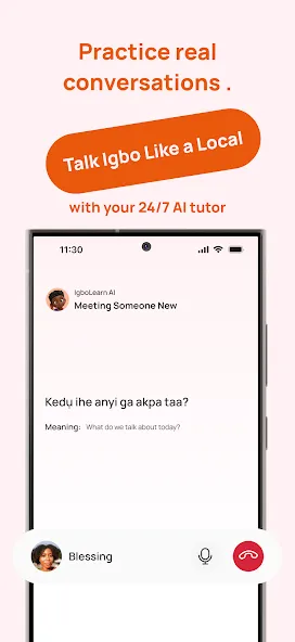 Learn & Speak Igbo - IgboLearn screenshot 5