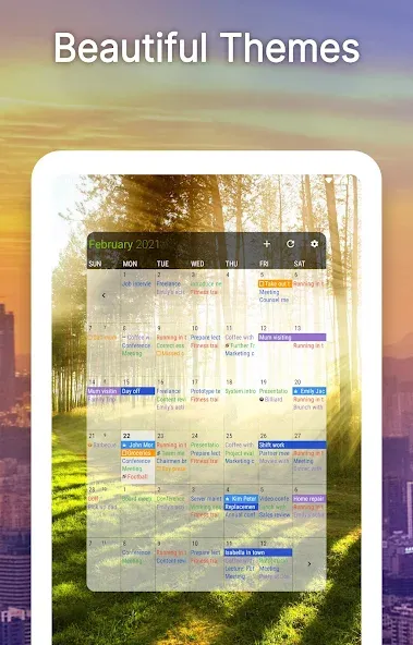 Business Calendar 2 Planner screenshot 13