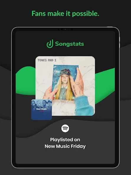 Songstats: Music Analytics screenshot 9