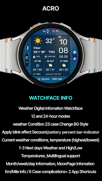ACRO Digital Weather info2 WF screenshot 4