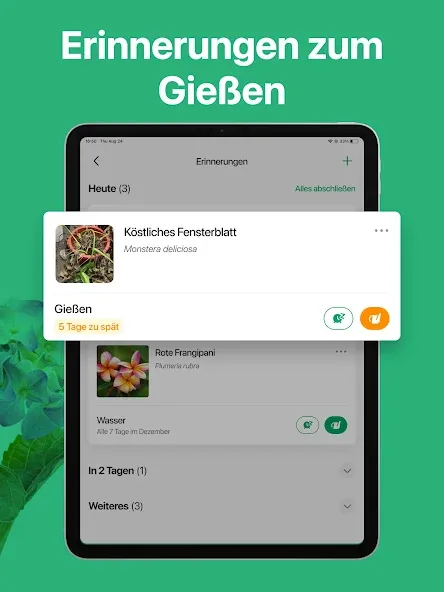 PictureThis:Pflanzen bestimmen screenshot 13