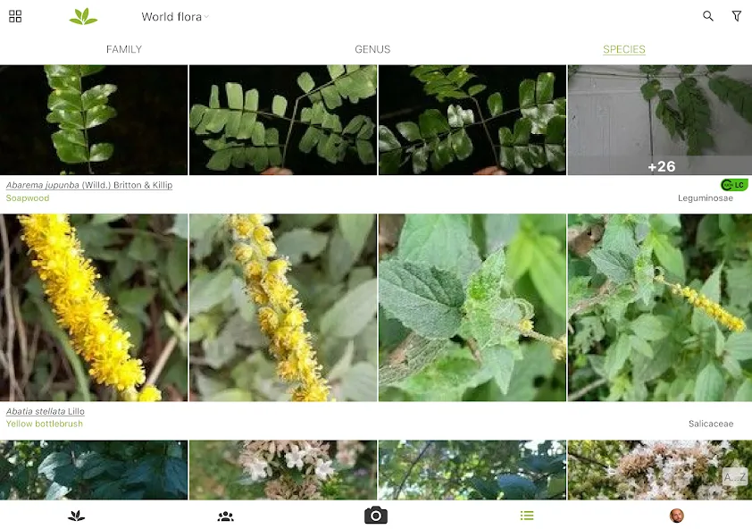 PlantNet Plant Identification screenshot 11