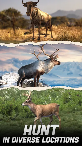 Hunting Battle: Hunter Game screenshot 2