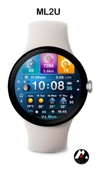 ML2U 243 Watch Face screenshot 5