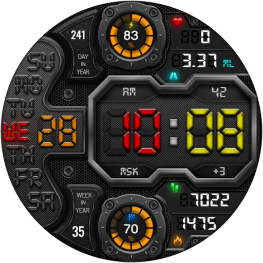 DIGI RAPANS WS24 Watch face screenshot 18