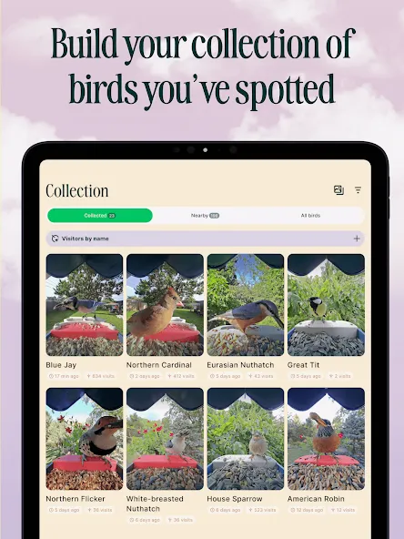 Birdbuddy: ID & Collect Birds screenshot 9