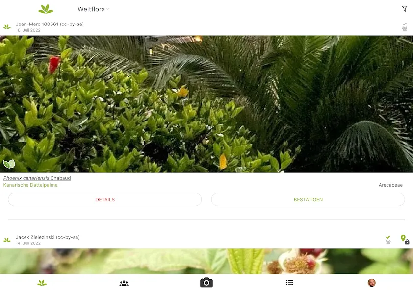 Pl@ntNet Pflanzenbestimmung screenshot 12