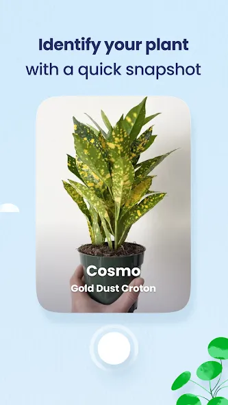 Plant Identifier & Care - Greg screenshot 3