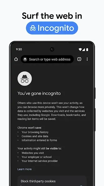 Chrome Beta screenshot 6