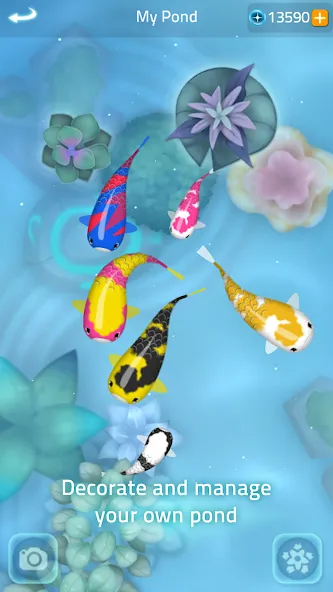 Zen Koi 2 screenshot 5