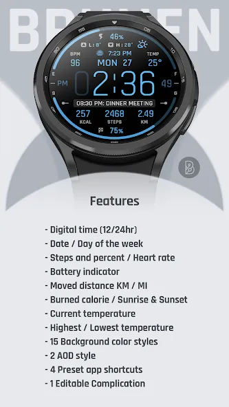 BRN181 - emon screenshot 5