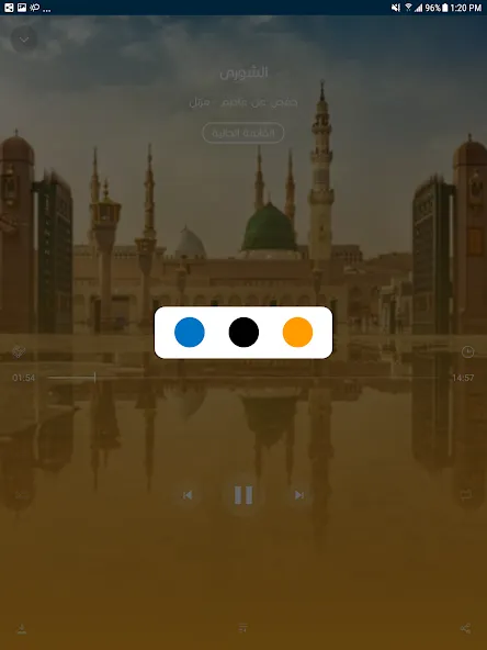 MP3 Quran القرآن الكريم screenshot 16