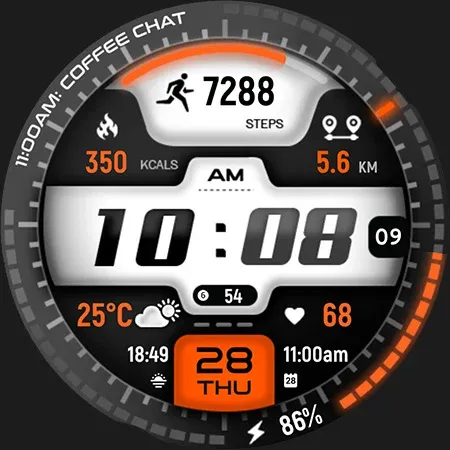 ML2U 295 Watch Face screenshot 30