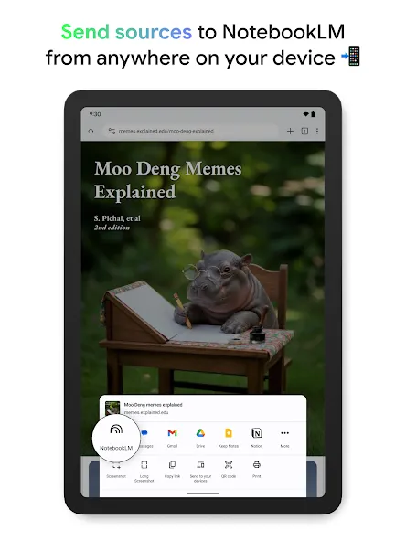 Gemini Notebook screenshot 12