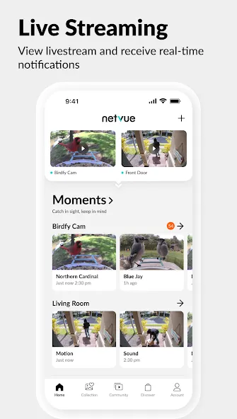 Netvue Next - In Sight In Mind screenshot 1